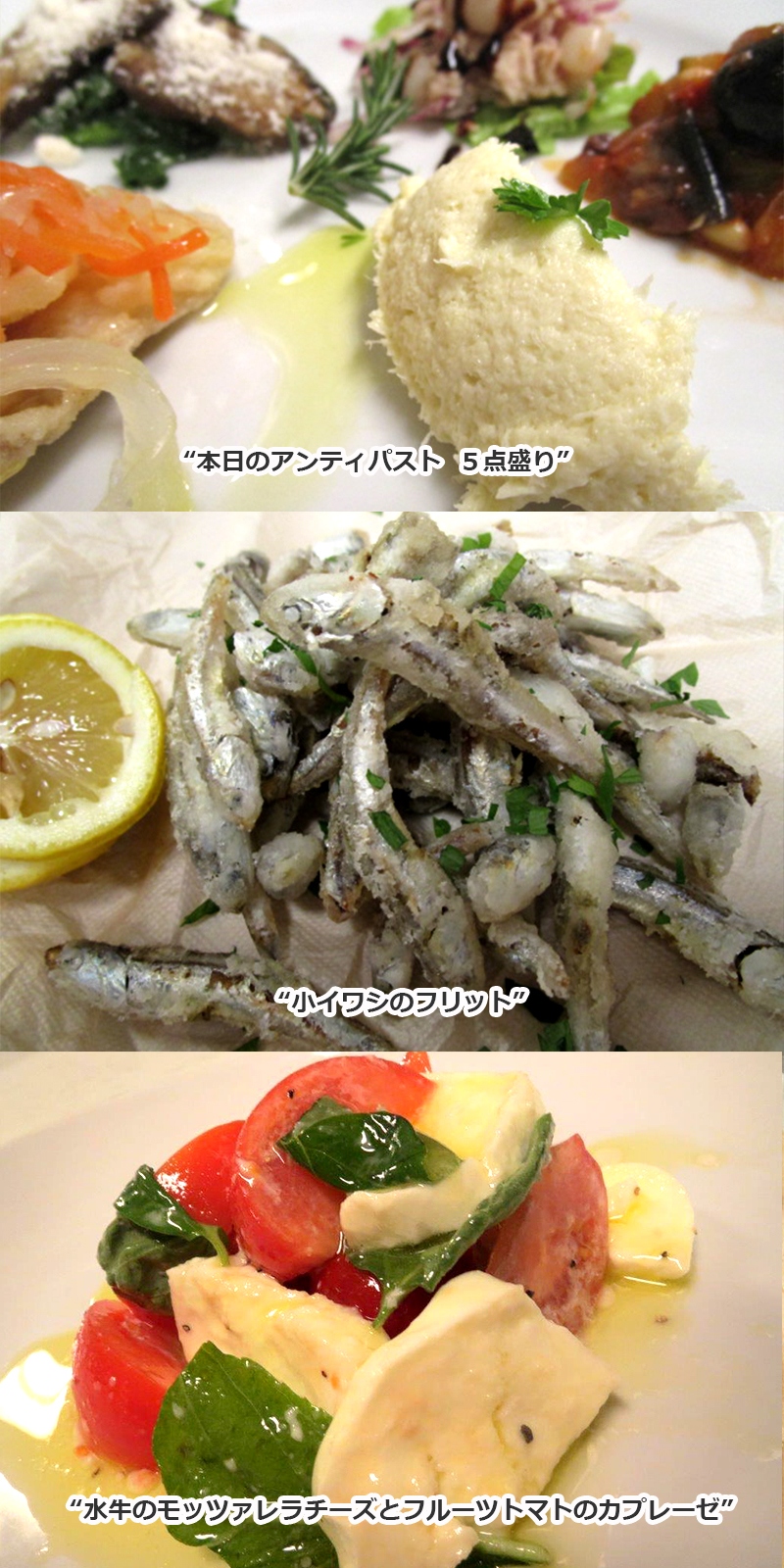 ~ANTIPAST・前菜~ 550円 (税込605円)より